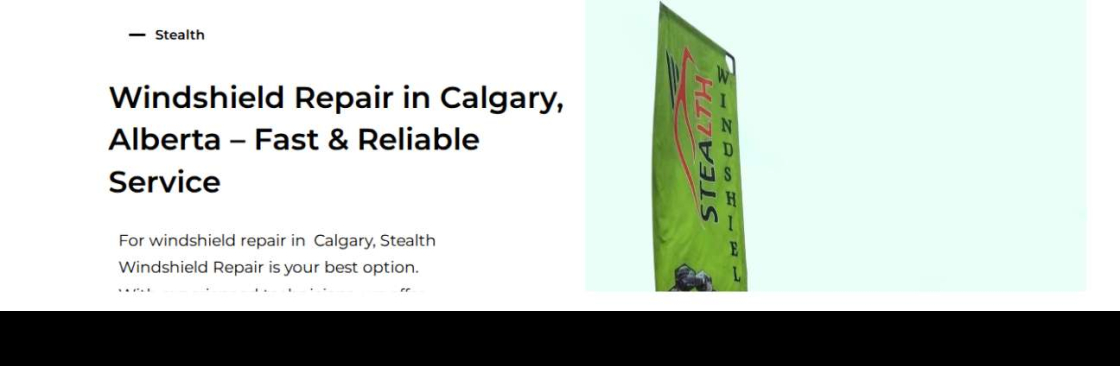Stealth Windshield Repair Cover Image