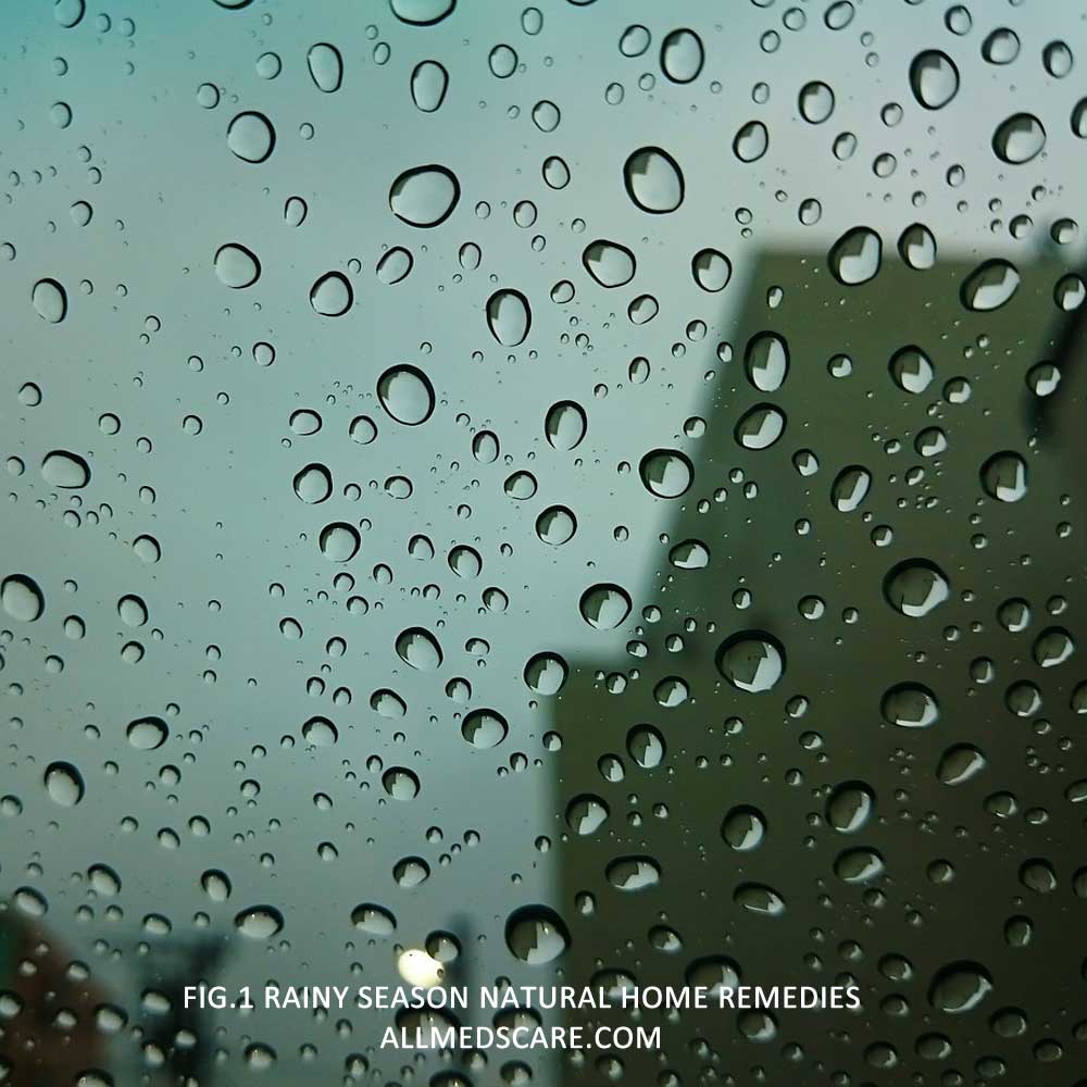 Natural Home remedies for Rainy Season- Allmedscare.com